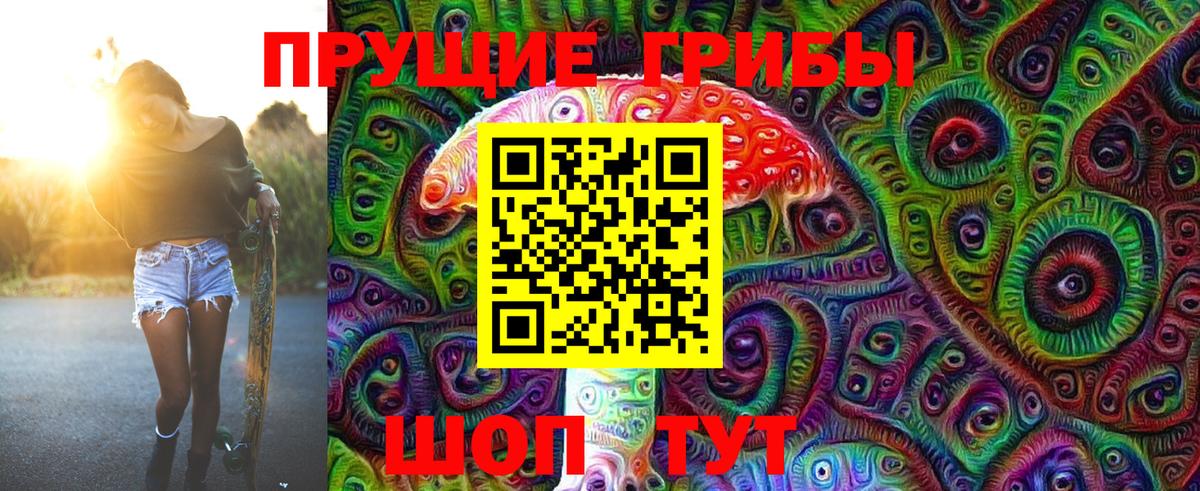 Михайловка  Галлюциногенные грибы мухоморы  Вход с VPN  Галлюциногенные грибы Cubensis 